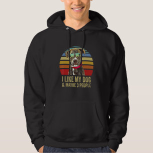 I Like My Dog and Maybe 3 People Plott Hound Hoodie