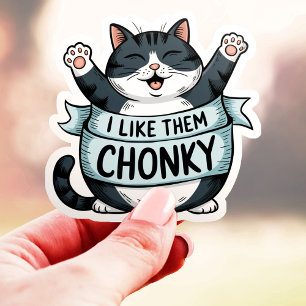 I Like Them Chonky Funny Cat Vinyl