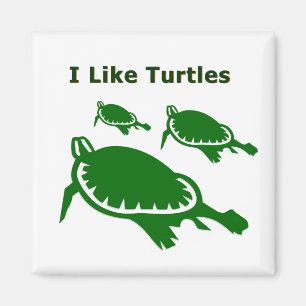 I like turtles magnet