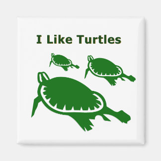 I like turtles magnet