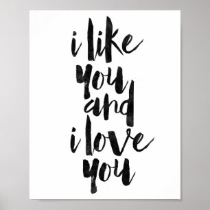 I Like You And I Love You Poster