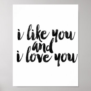 I Like You And I Love You Poster