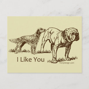 I Like You Dog Humour Postcard