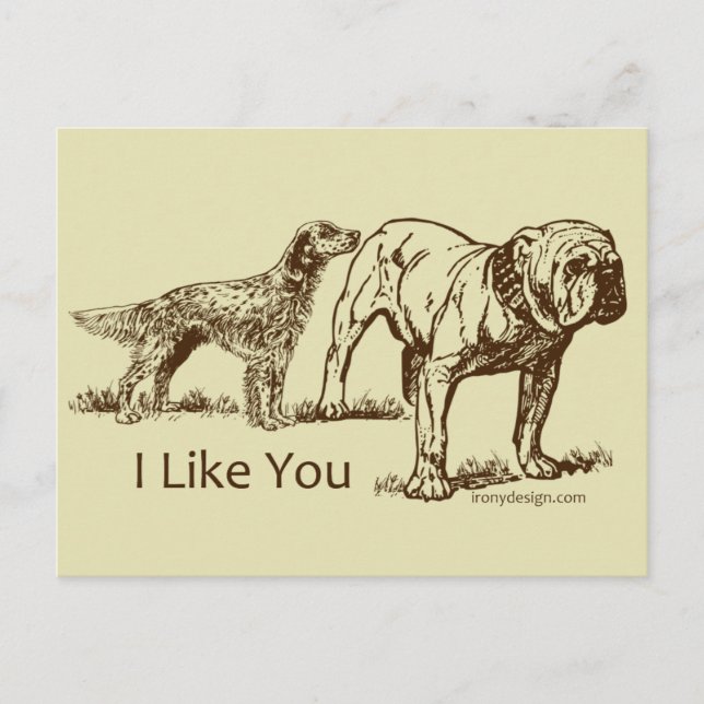 I Like You Dog Humour Postcard (Front)