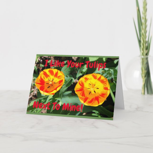 I Like Your Tulips Next To Mine Funny Valentine Card (Front)