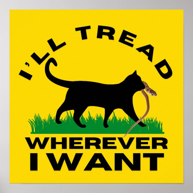 I’ll Tread Wherever I Want  Poster (Front)