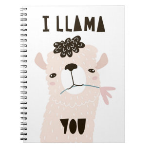 I Llama You Notebook