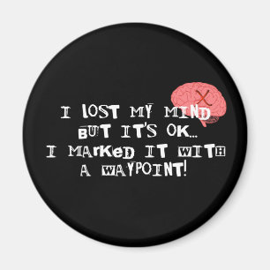 I Lost My Mind! Magnet