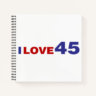 I Love 45 Notebook