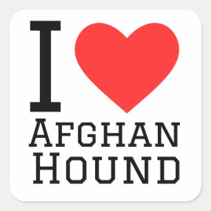 I love afghan hound  square sticker