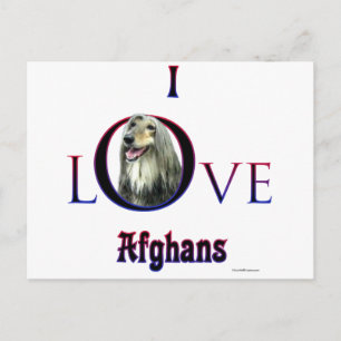 I love Afghan Hounds; Afghan Love; Love my Afghan  Postcard