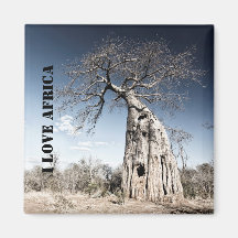 I love Africa Baobab Tree photo