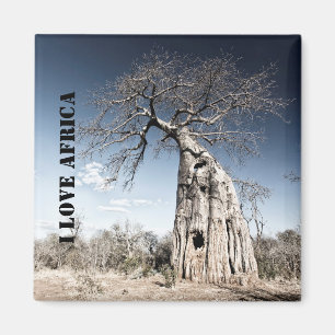 I love Africa Baobab Tree photo Magnet