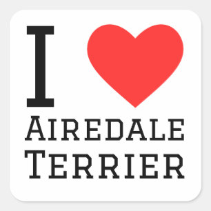 I love Airedale terrier Square Sticker