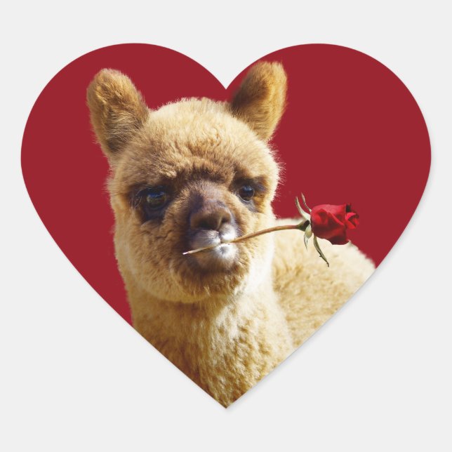 I Love Alpacas Heart Stickers for Animal Lovers (Front)