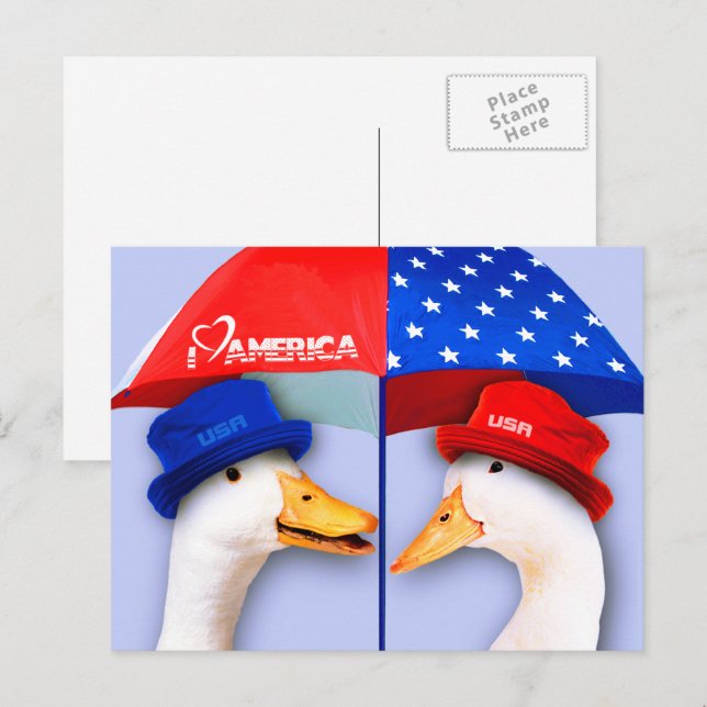 I Love America. Funny Patriotic Ducks Postcard (Front/Back)
