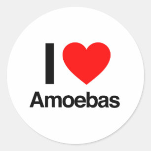 i love amoebas classic round sticker
