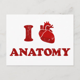 i love anatomy2 postcard
