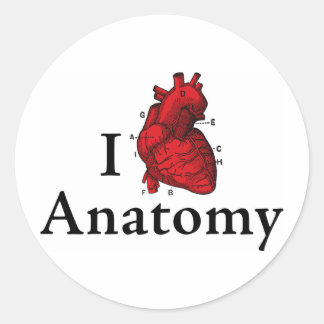 I love anatomy classic round sticker