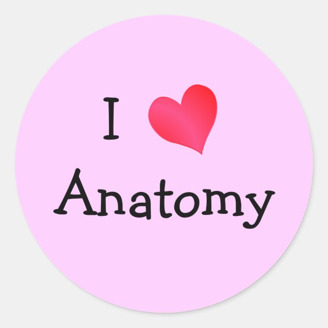 I Love Anatomy Classic Round Sticker (Front)