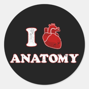 i love anatomy classic round sticker