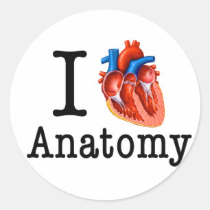 I love Anatomy Classic Round Sticker