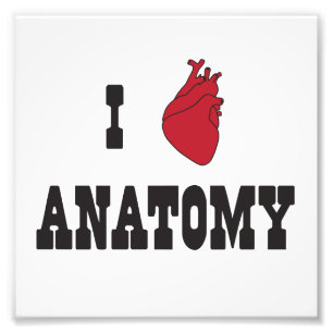 I Love Anatomy Photo Print