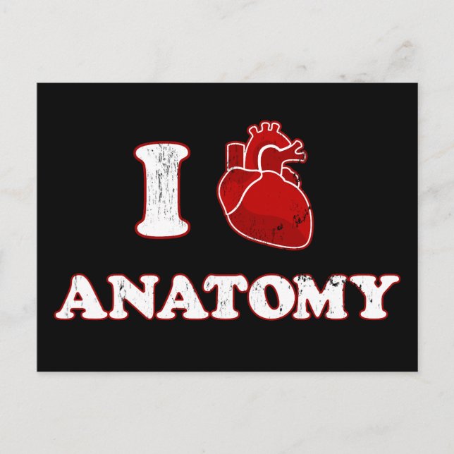 i love anatomy postcard (Front)