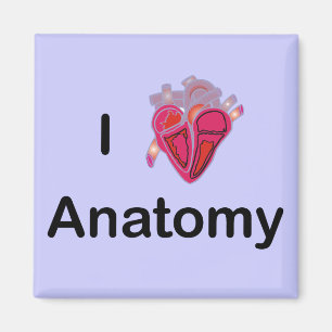 I Love Anatomy with human heart! Magnet