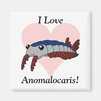 I Love Anomalocaris! Magnet