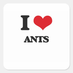 I love Ants Square Sticker