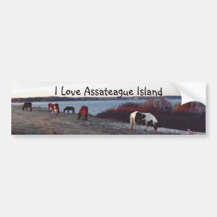 I Love Assateague Island - Bumper sticker