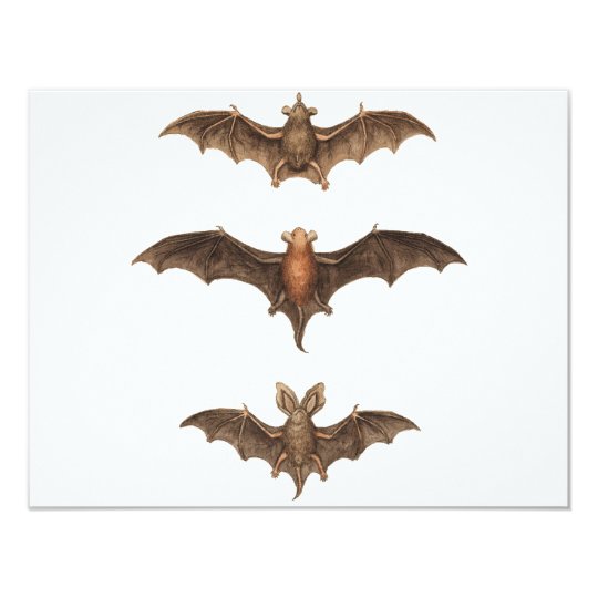 I love bats card
