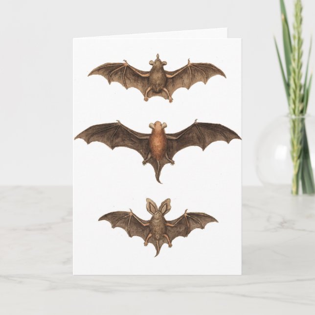 I love bats card (Front)