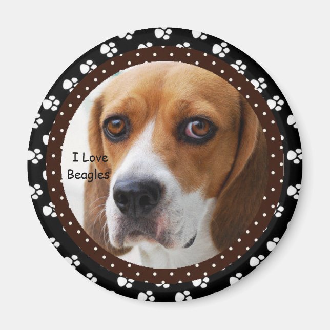 I love Beagles  Magnet (Front)