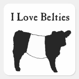 I Love Belties - Black White Belted Galloway Cows Square Sticker