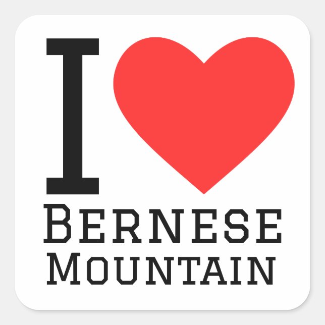 I love Bernese mountain Square Sticker (Front)