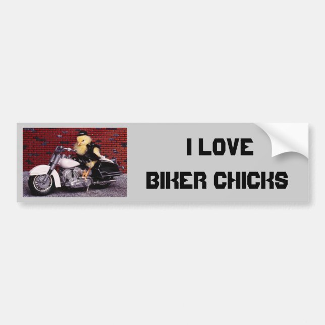 I Love Biker Chicks Bumper Sticker (Front)