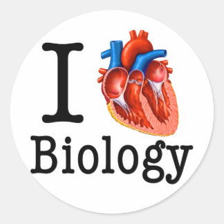 I Love Biology Classic Round Sticker