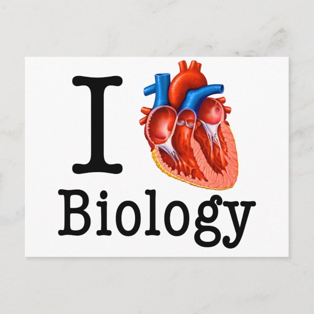 I Love Biology Postcard (Front)