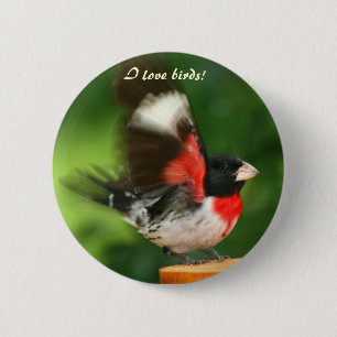 I Love Birds button