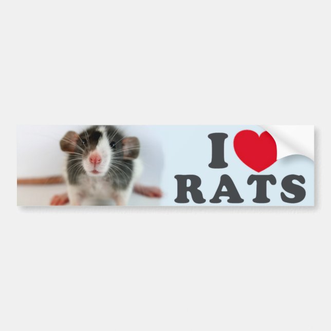 I love (blazed) Rats Bumper Sticker (Front)