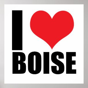 I love Boise Poster