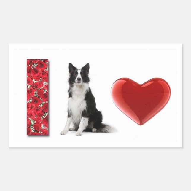 I Love Border Collies!! Border Collie Sticker (Front)