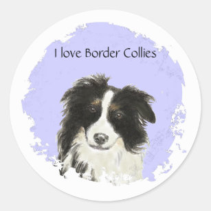 I love Border Collies  Sticker
