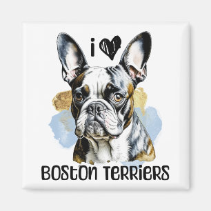 I Love Boston Terriers Magnet