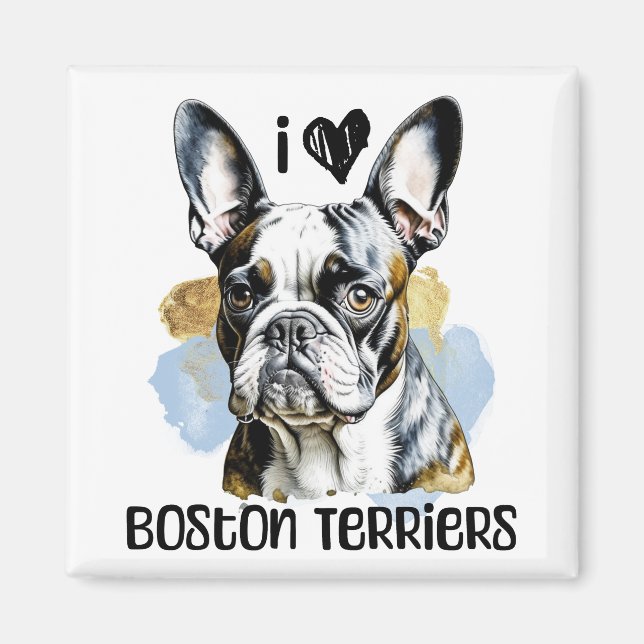 I Love Boston Terriers  Magnet (Front)