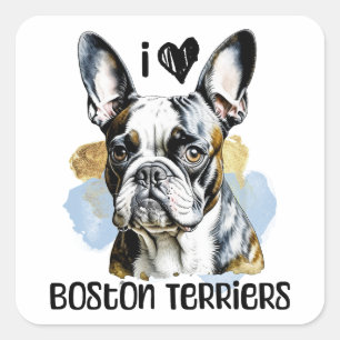 I Love Boston Terriers Square Sticker