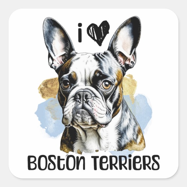 I Love Boston Terriers  Square Sticker (Front)