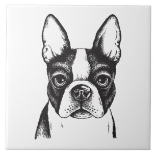 I love Boston Terriers Tile